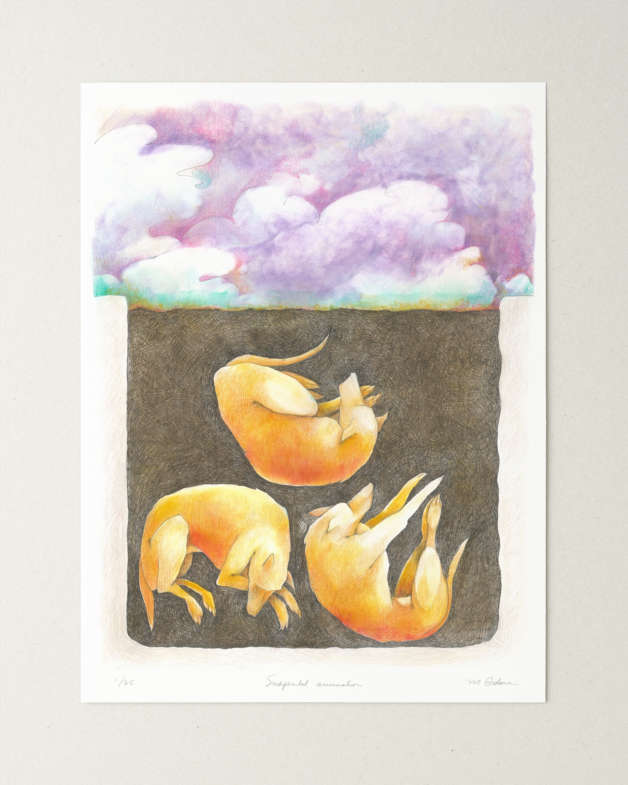 Art Where Dreams Meet Nature